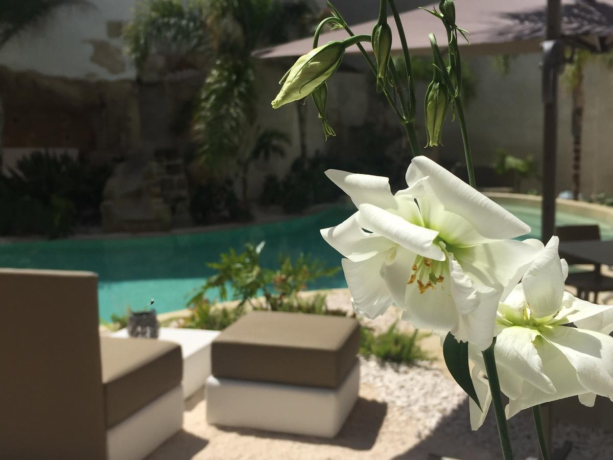 Le Cale Camera Privata In Residence فافينانا المظهر الخارجي الصورة